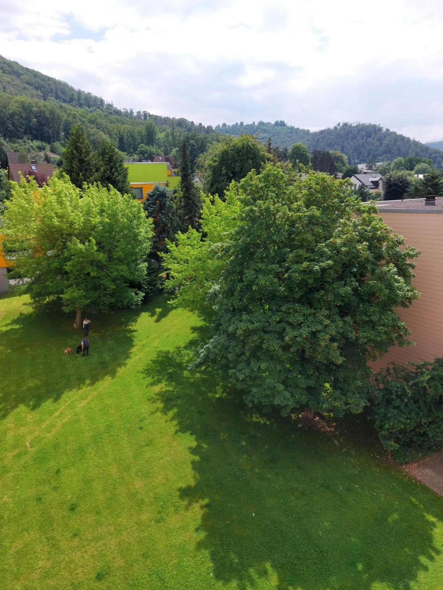Apartamento Burgberg-Blick Bad Harzburg Exterior foto
